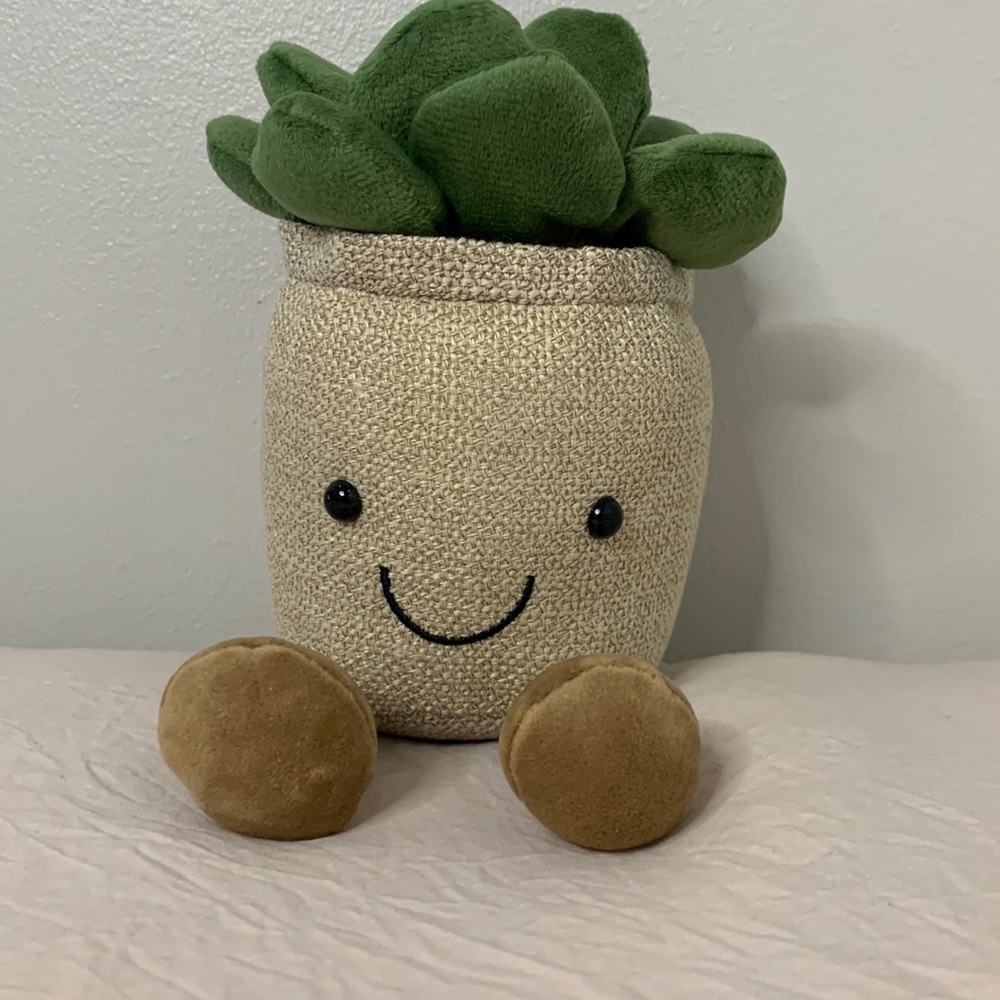 NIP Beige Succulent Decor